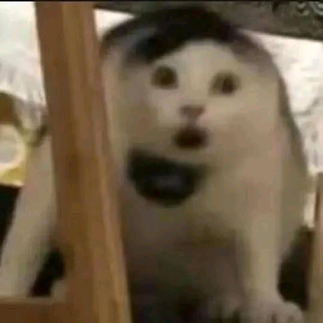 果味似良酱