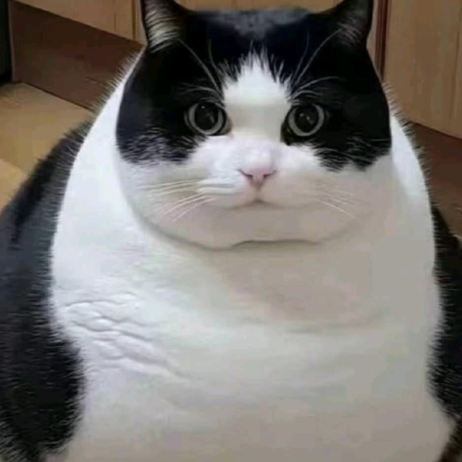 谁也不是谁的谁