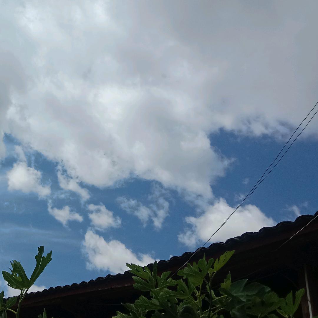 蛋挞小包(∗❛ั∀❛ั∗)✧*。