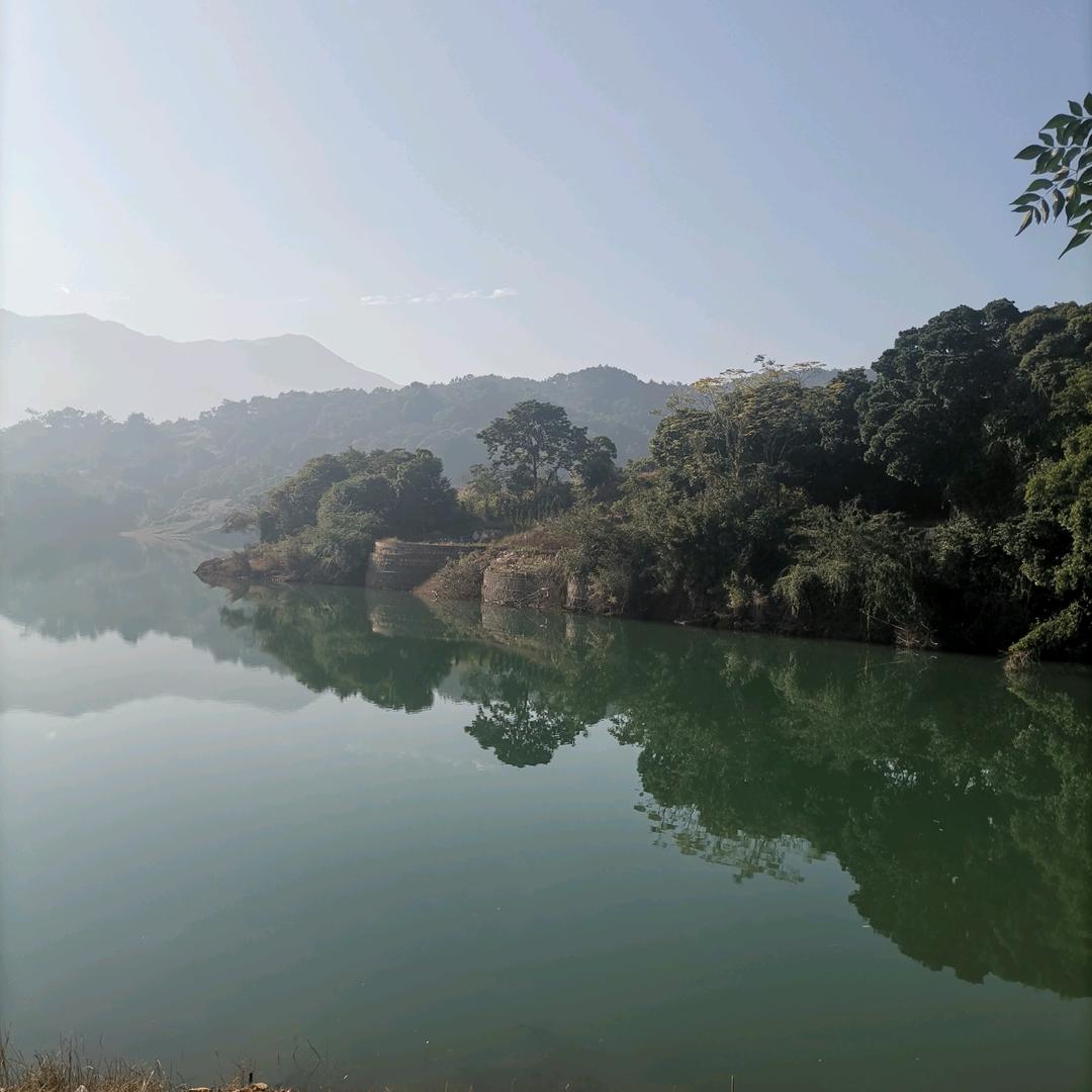 🌸努力向上🌸