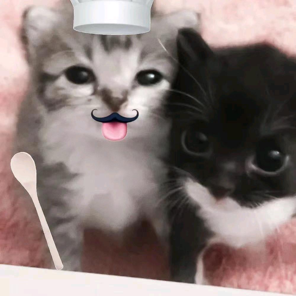 iiiiiT