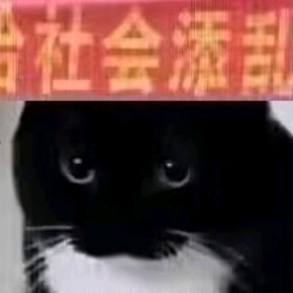 美女分享（正能量）