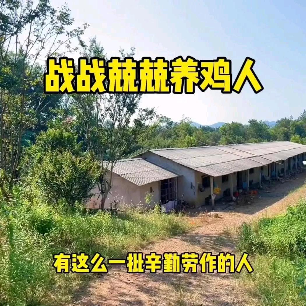 宏蒙宠物