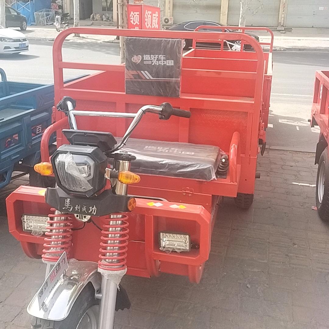 领威三轮车锂电池