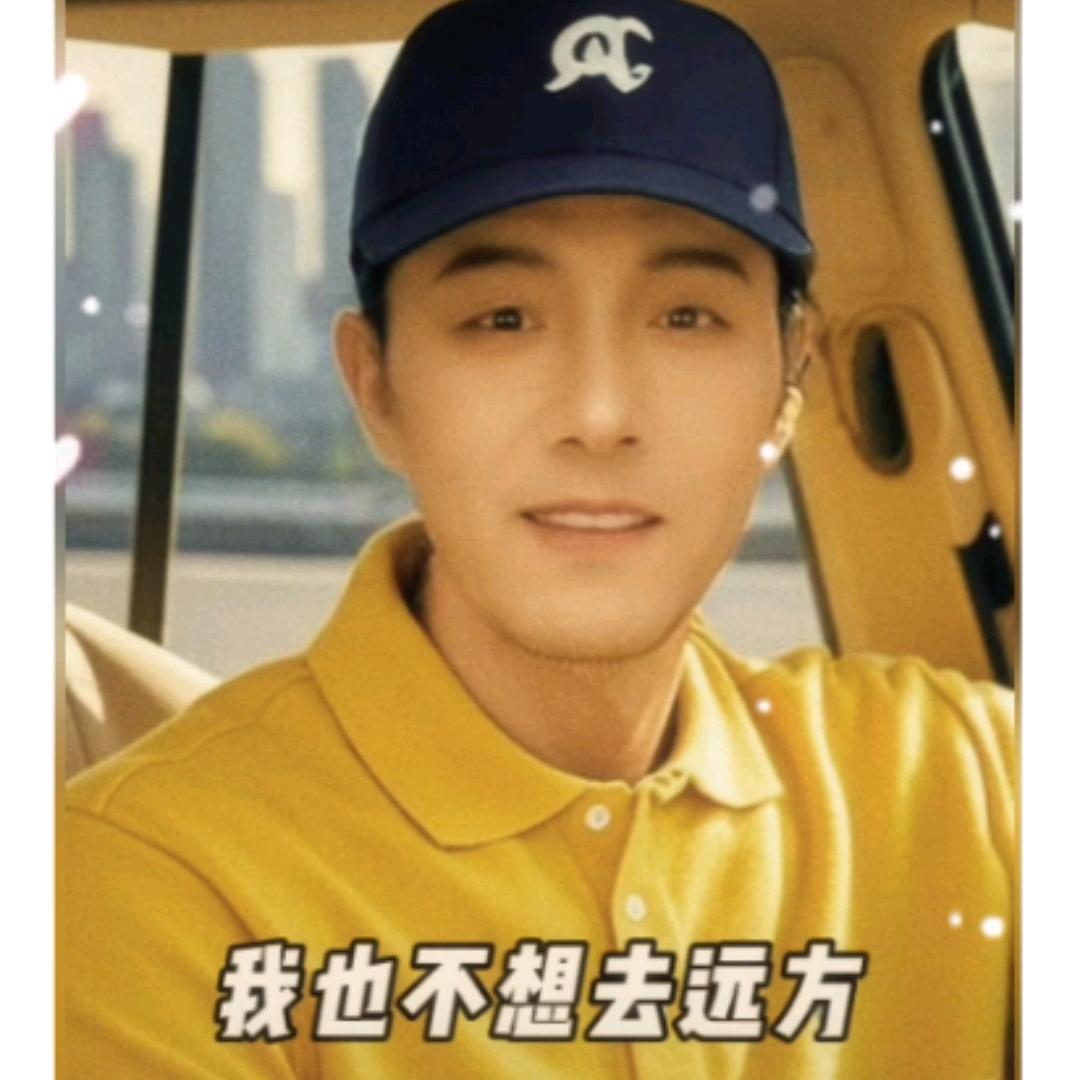 老杨