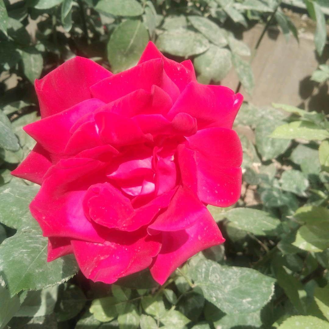 起法程悟人生🌞⭐️🌙