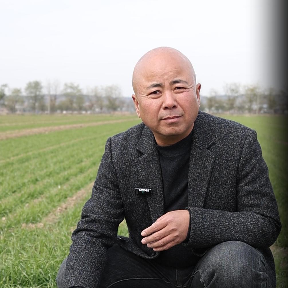 老杨的田间肥事