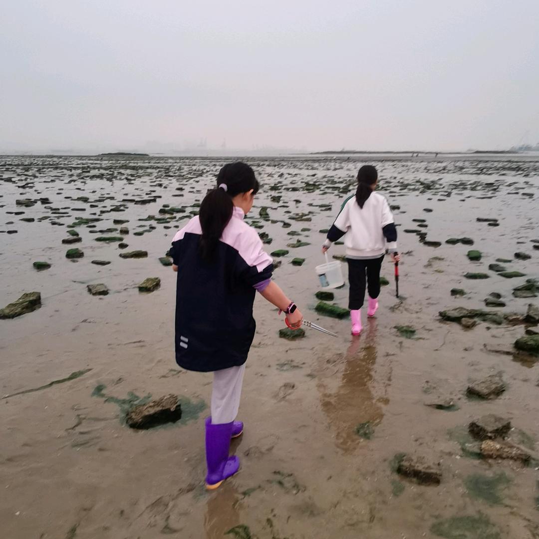 综合性龙马精神。