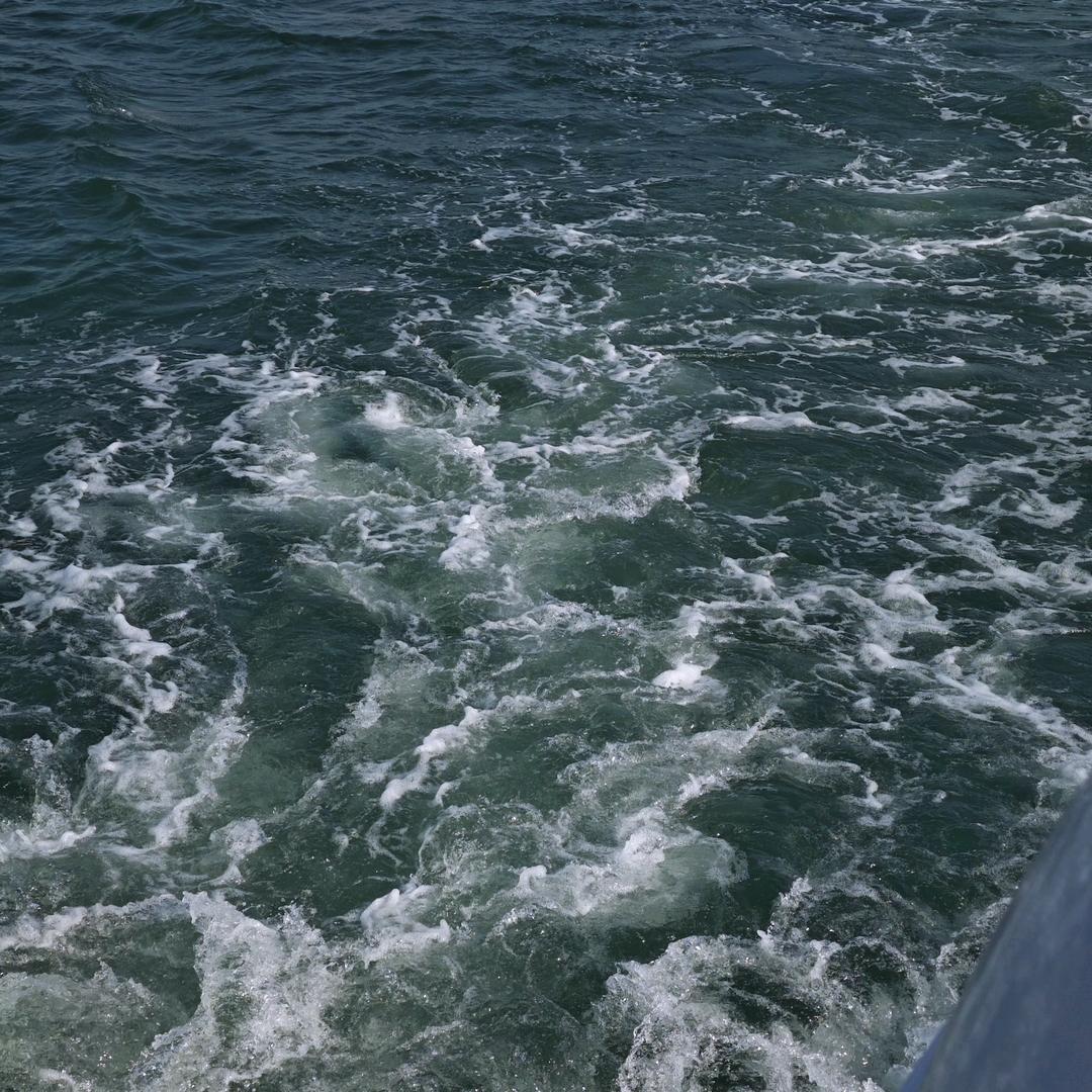 努力挣钱买红旗