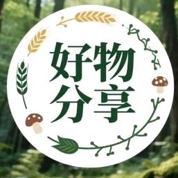 老学究