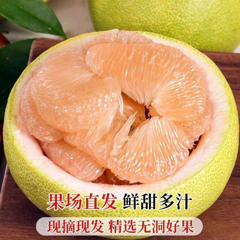 度尾文旦柚子果园