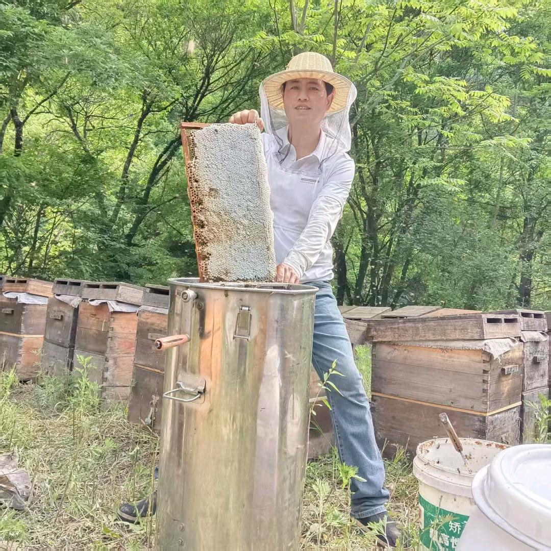 蜂飞养蜂场喻超