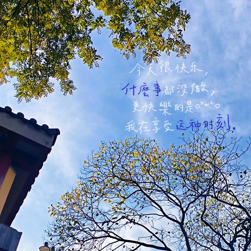 风亦呦呦