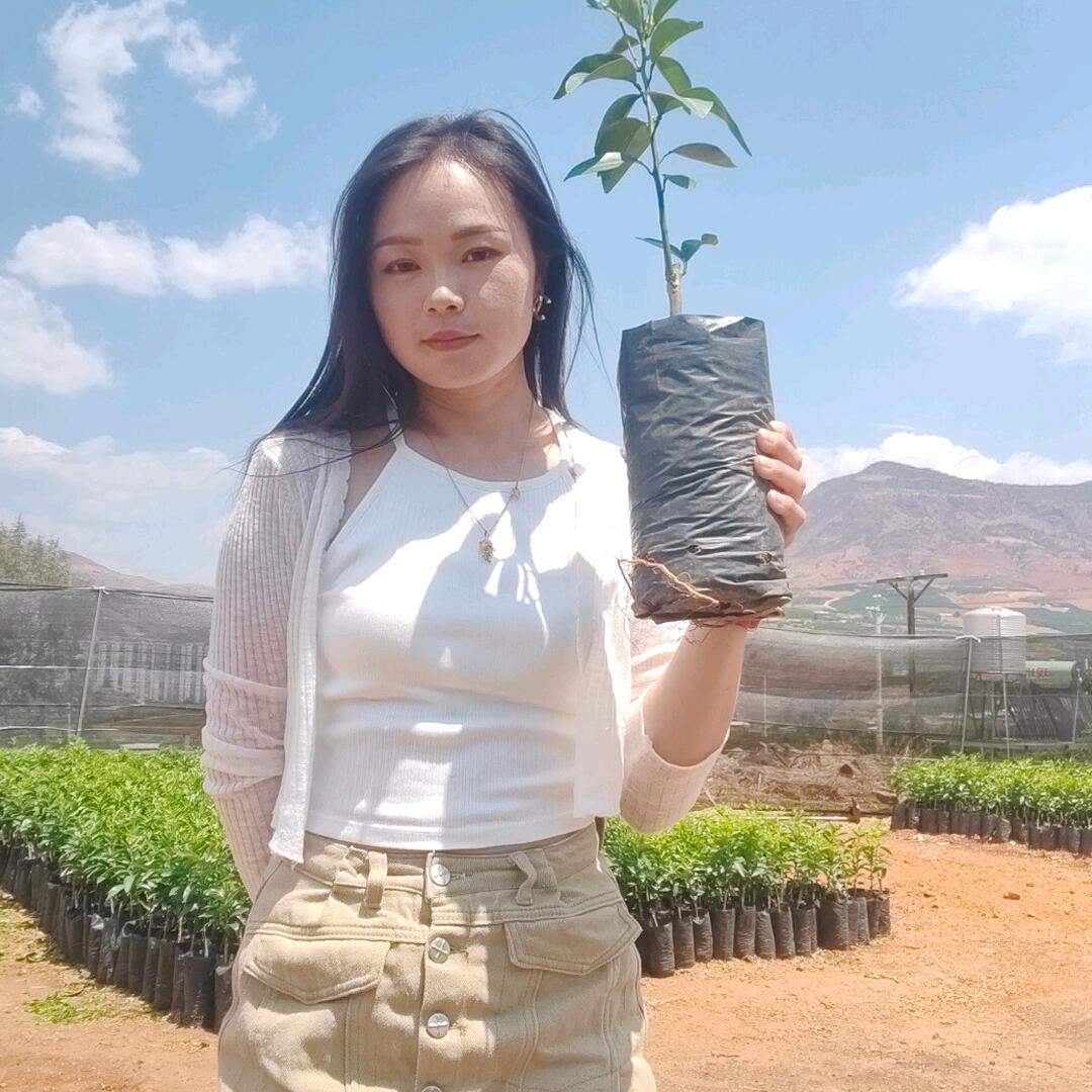 汤丽姐姐👑卖柑橘苗的奔驰姐姐