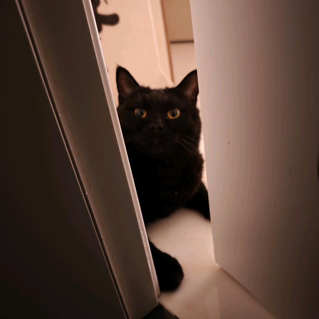 这是一个顺口的名字