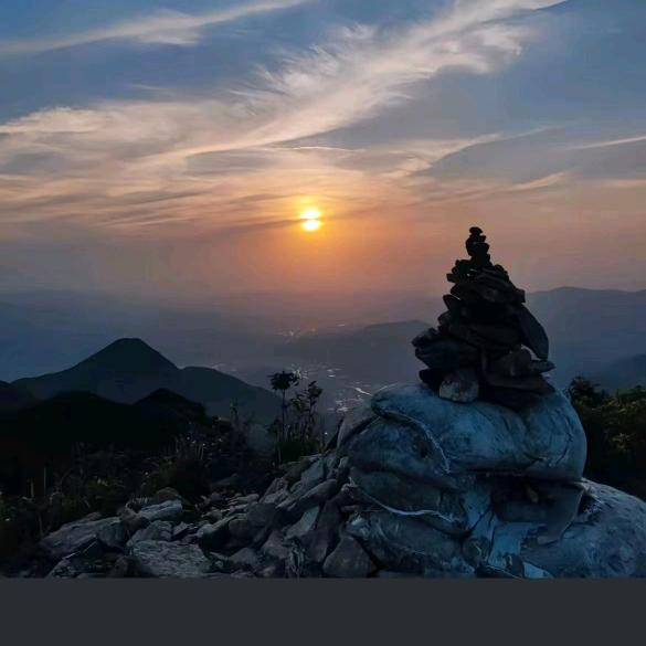 小海的快乐生活🐏🐅🐕