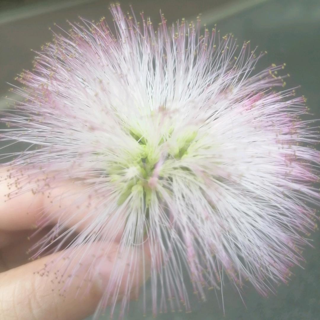 努力生活