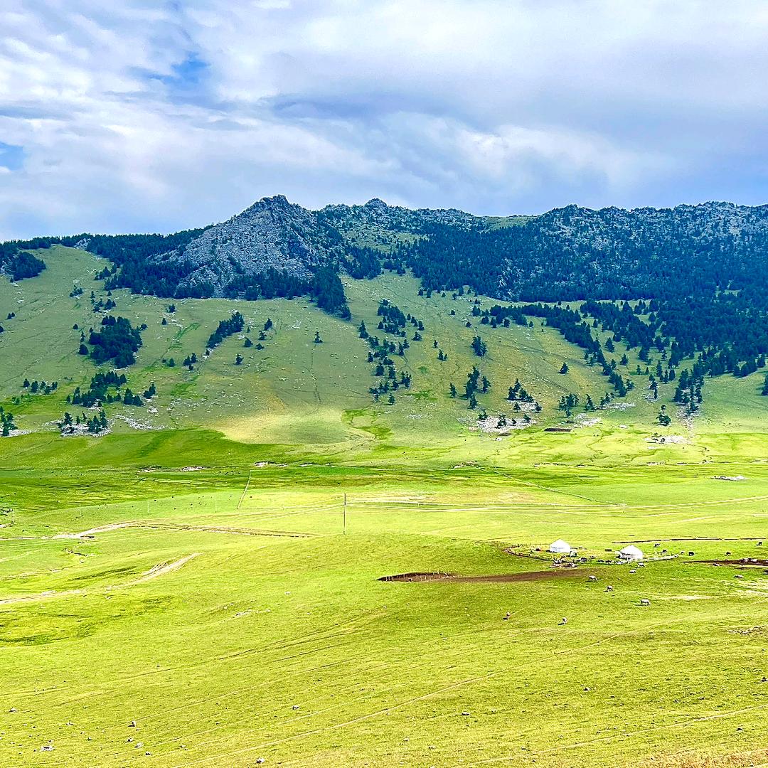 郑他两个亿☞飞说不可