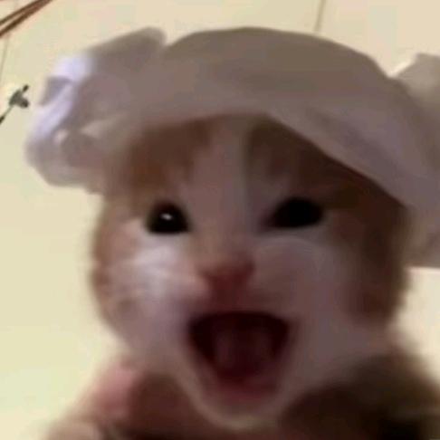 ั懿懿头像