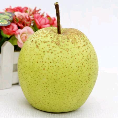 农民梨园🍐