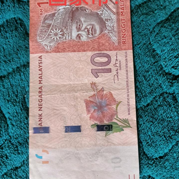 ㊗️❗️彩票锅！💰