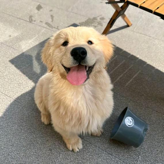 我想睡个好觉😔