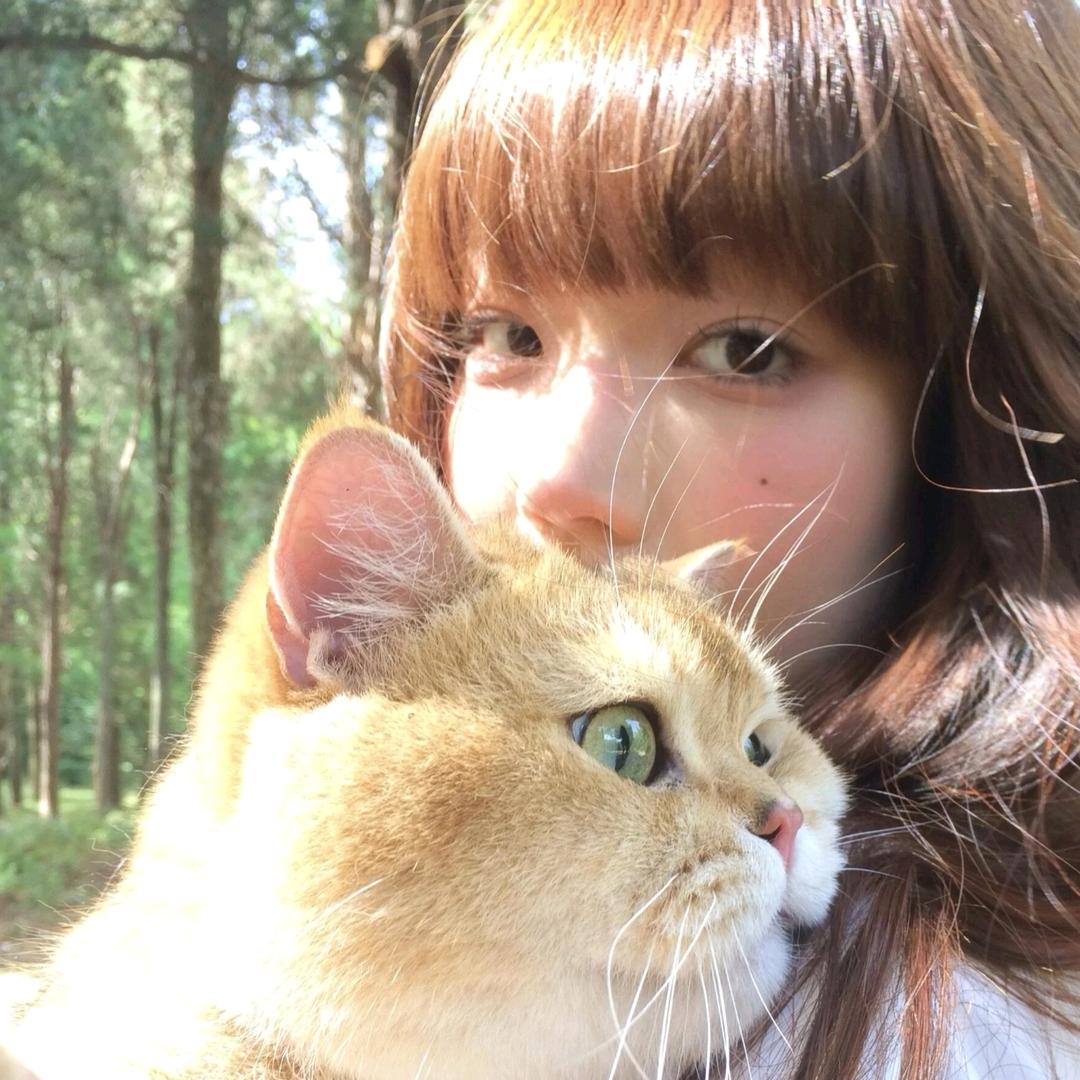 莹儿公主