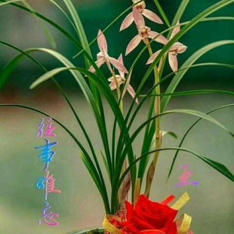 活过好心态，情遇有缘人