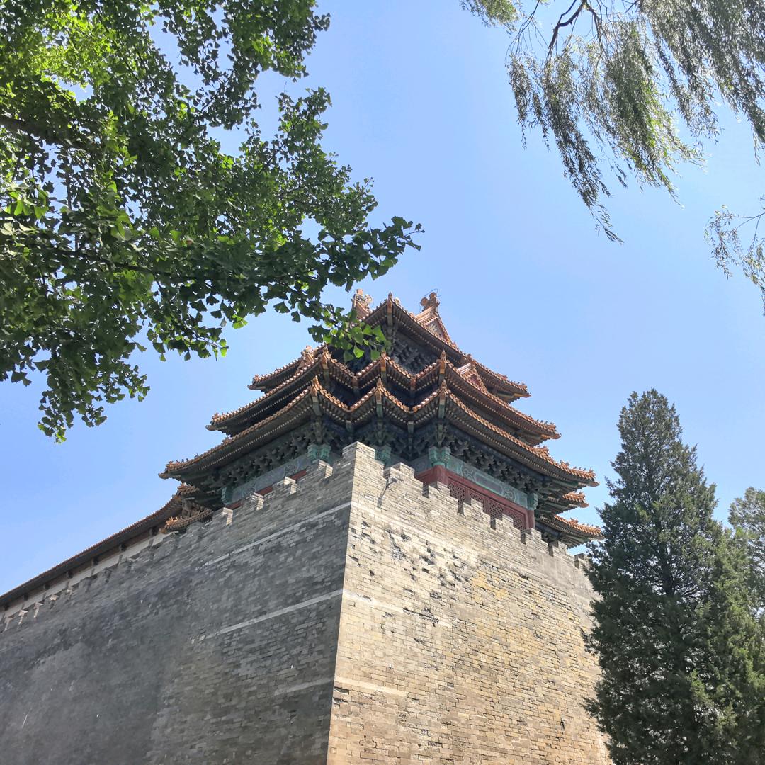 大奇奇