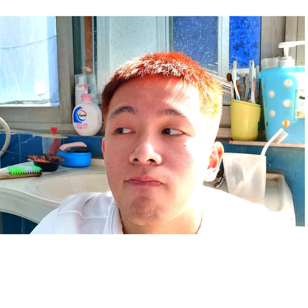 贰九肆一