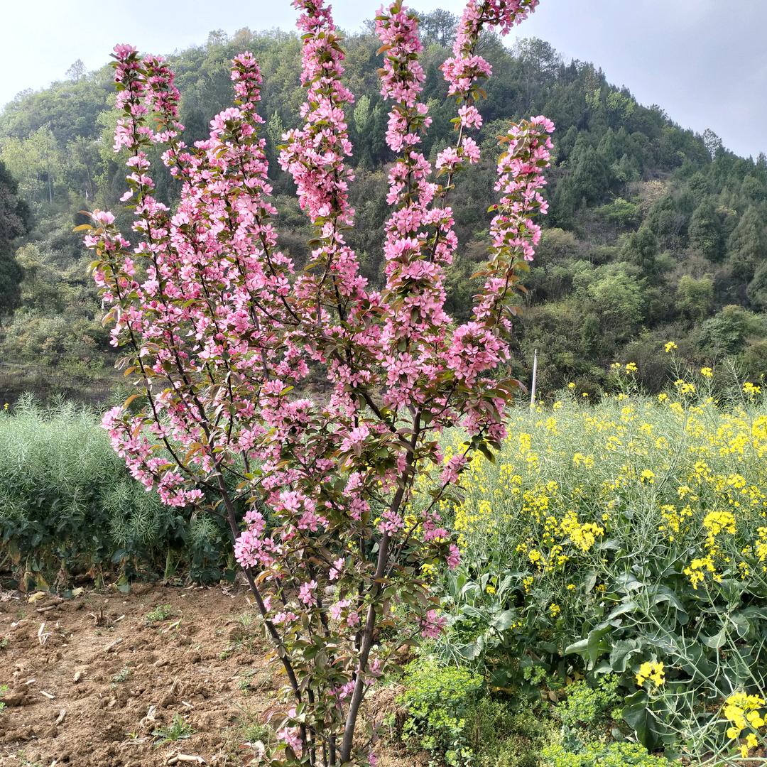顺其自然，开心点