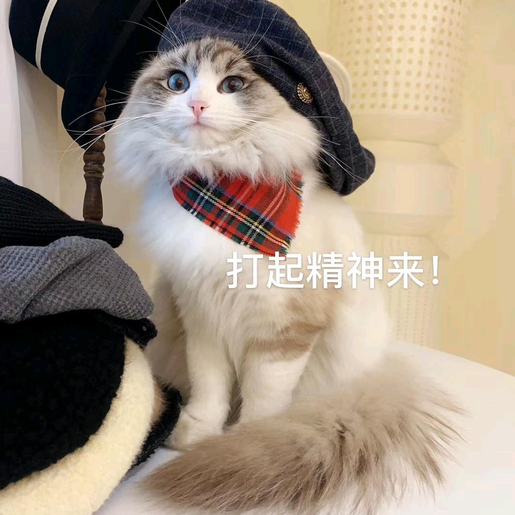 多多解说-龙息导师