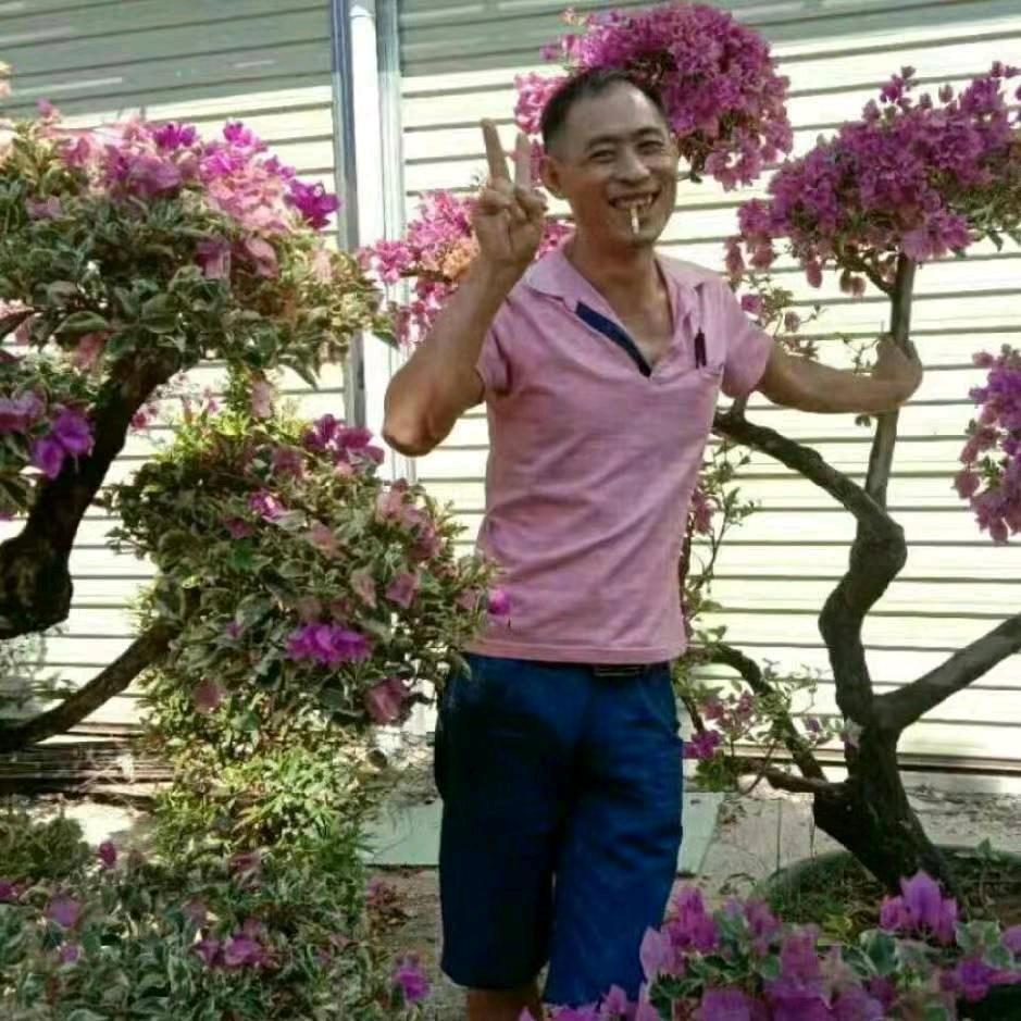 赵江波（湖南）