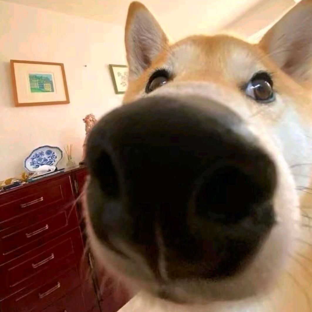 善变