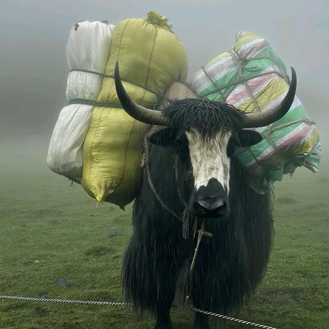 晊～志