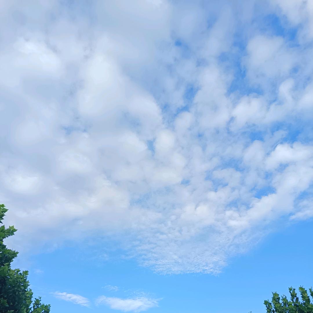 䒭㶡