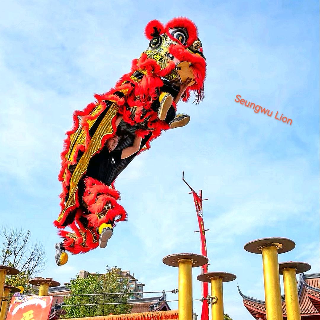 诏安 承武堂 龙狮 英歌 国术馆