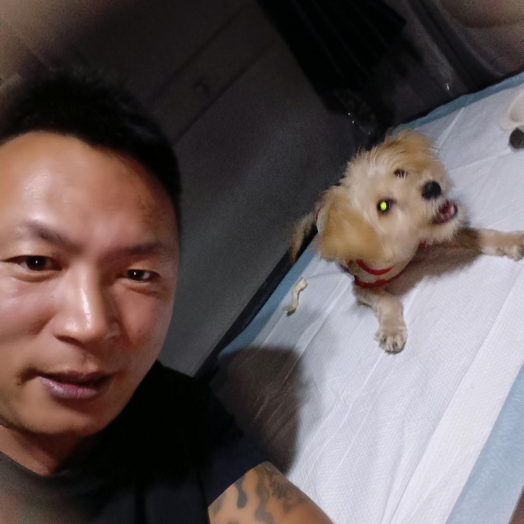 @货运小趴窝.（记录真实生活）