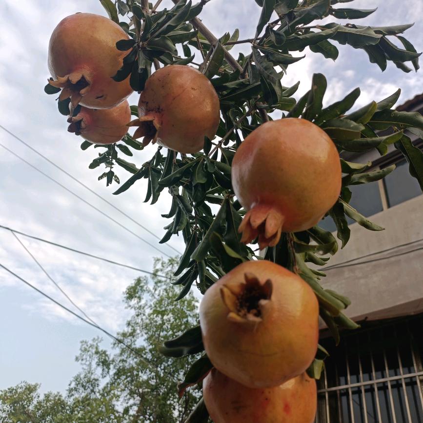 天天开心过好每一天