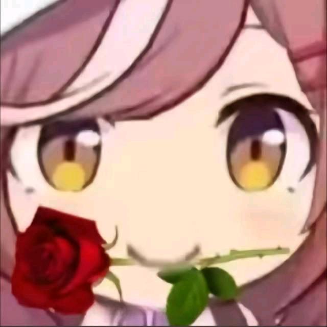 芝士就是力量