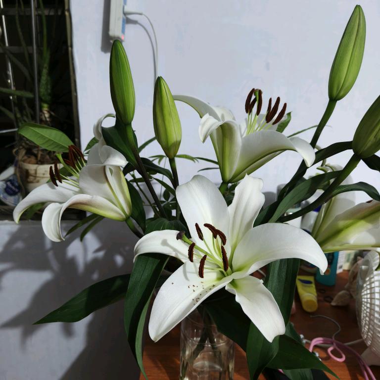 随遇而安。70后的胖大姐。