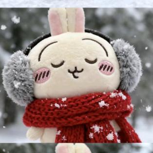 橘生淮南（增肌版）