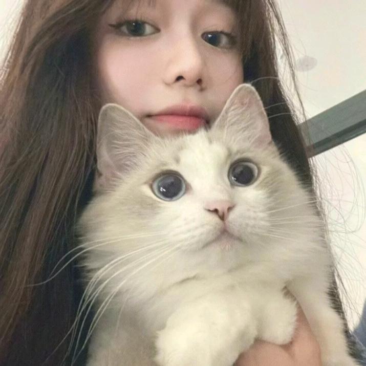 爱吃洋芋⁸