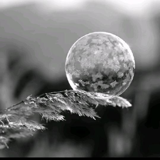 💔ꦿ໊余生᭄🕊我独行᭄ꦿᩚ٭