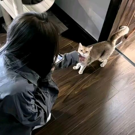 上好佳.