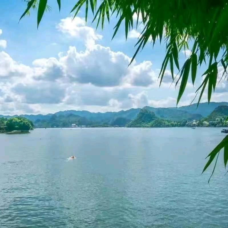 共聚直播