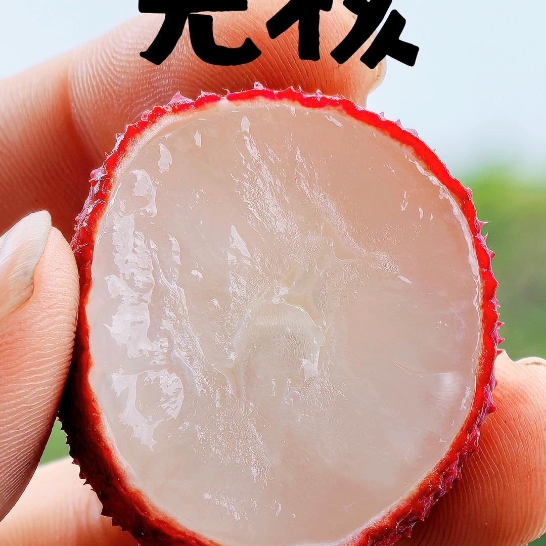 梁小二电动三轮车