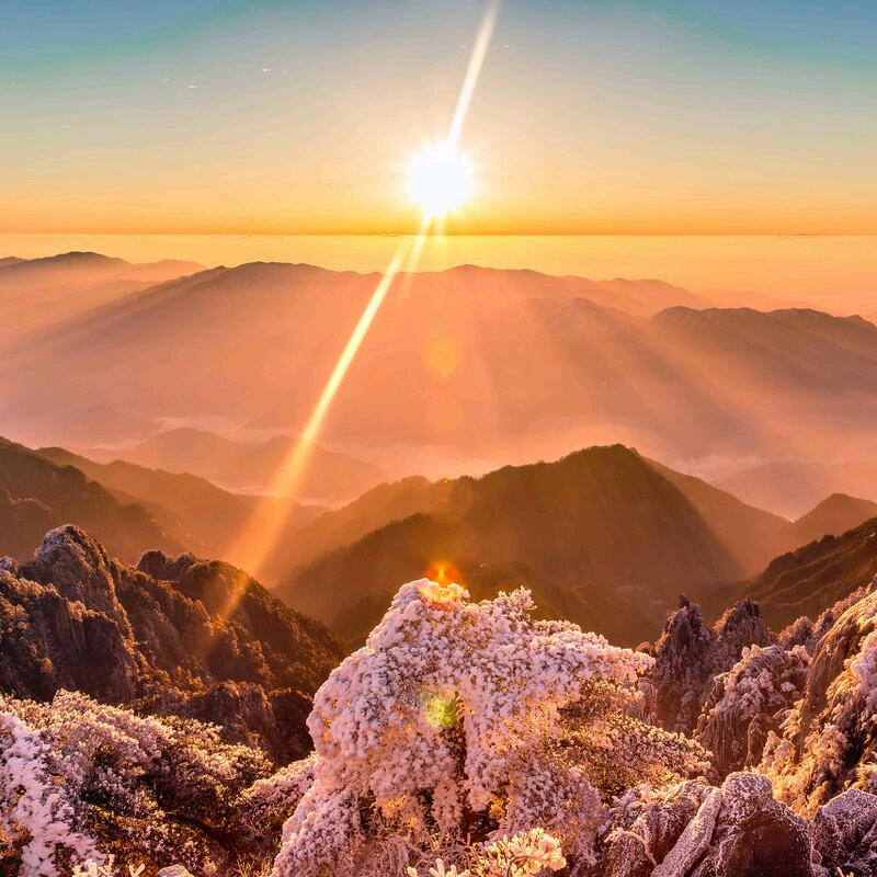 大刘的修仙。之路