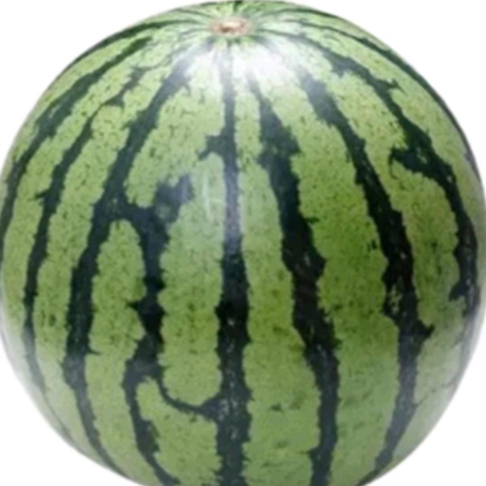 G..
