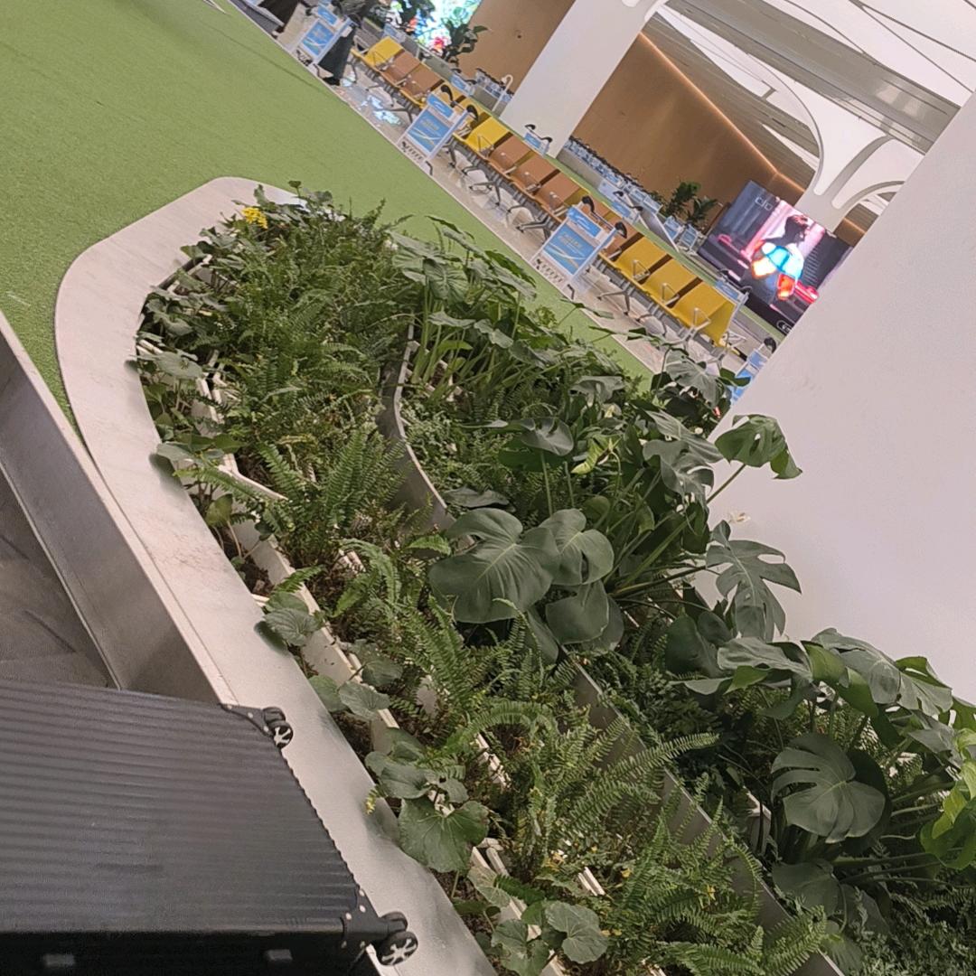 我是彩虹🌈🌈🌈